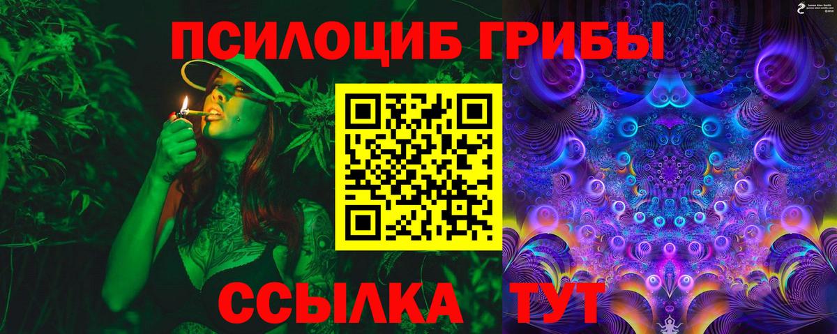 Нижний Новгород  Псилоцибиновые грибы Cubensis  Галлюциногенные грибы Psilocybe  Вход с VPN 